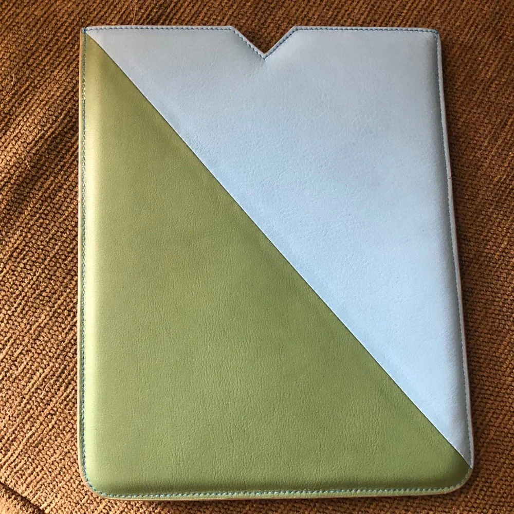 Auth Proenza Schouler Blue Green Leather Case EUC